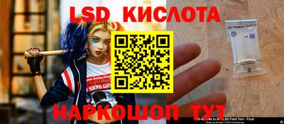 ECSTASY Кимры