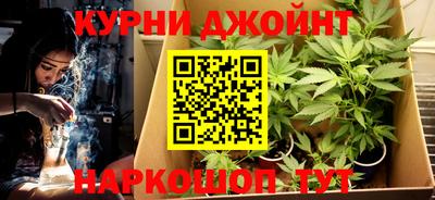 мяу мяу мука Кингисепп