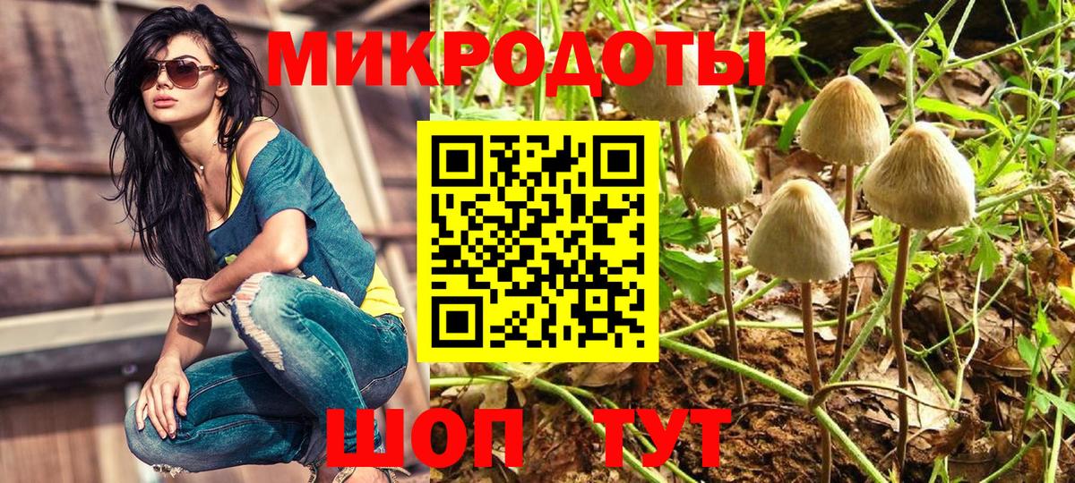 Псилоцибиновые грибы Psilocybe  Вход с VPN  Кохма 