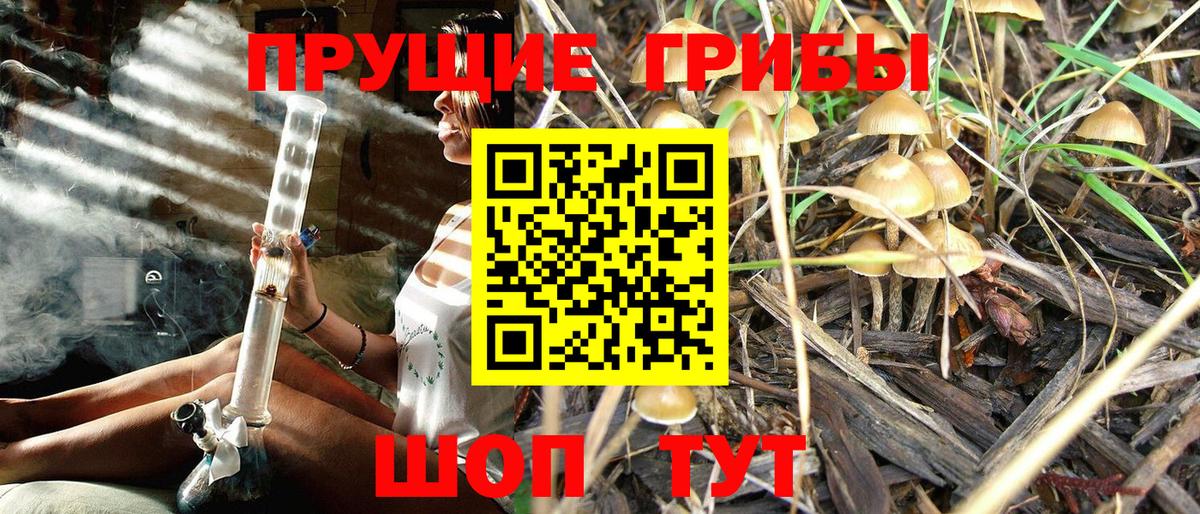 Галлюциногенные грибы прущие грибы Кохма